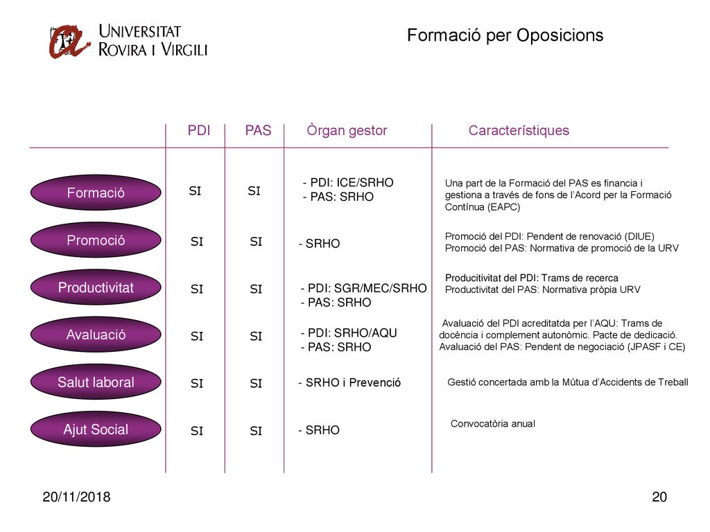 PDI PAS Òrgan gestor Característiques Formació Promoció Productivitat