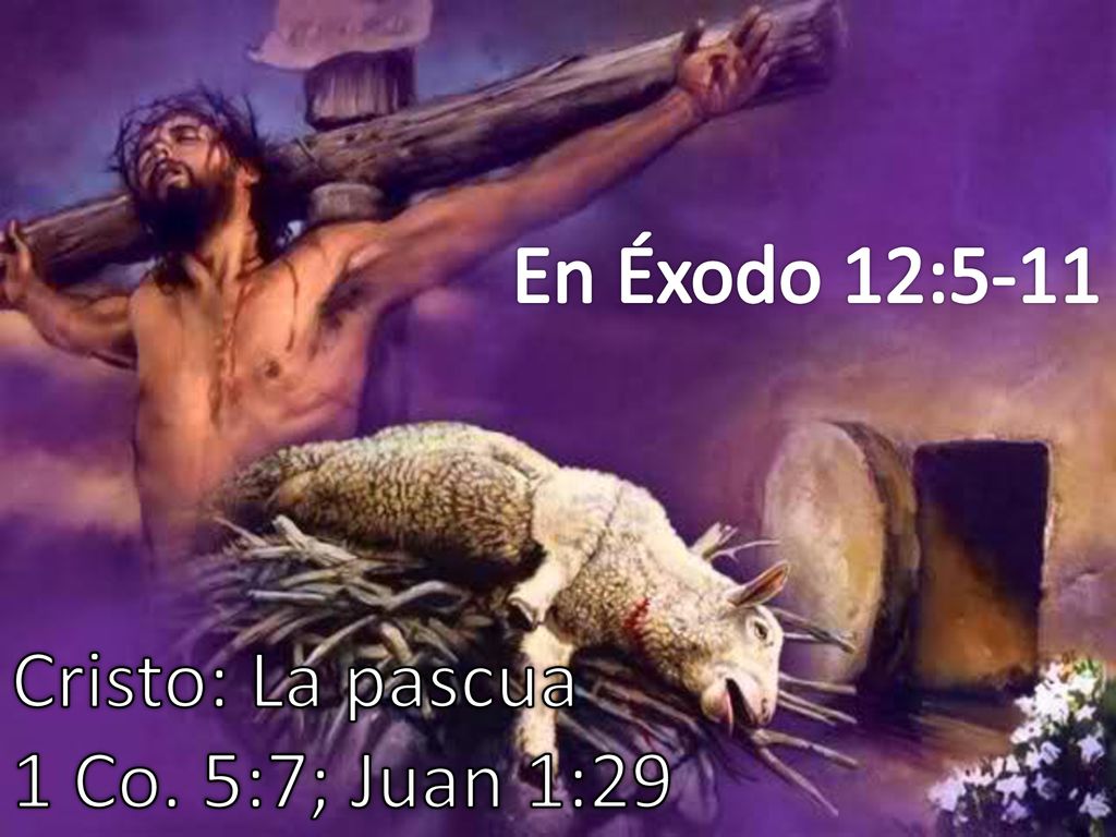 En Éxodo 12:5-11 Cristo: La pascua 1 Co. 5:7; Juan 1:29