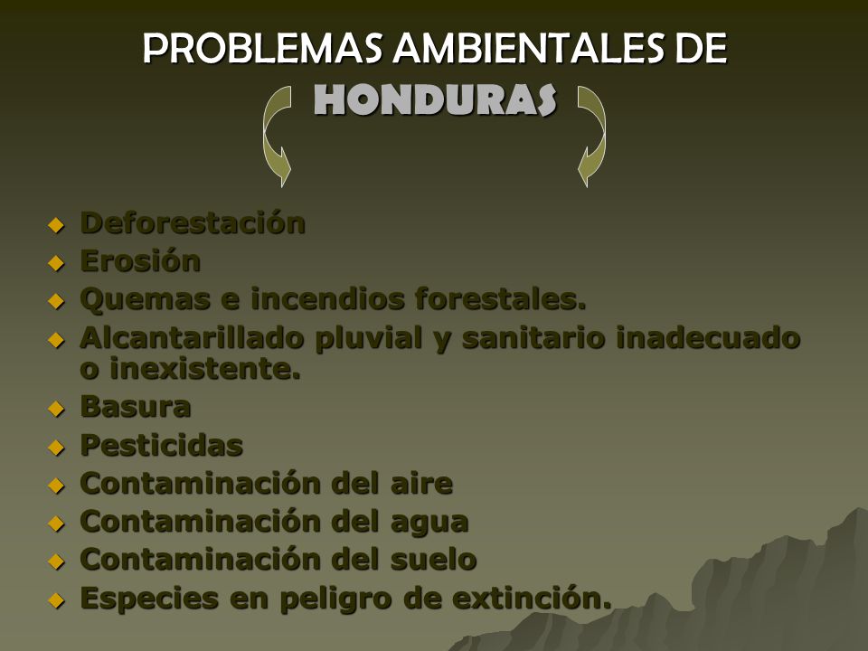 PROBLEMAS AMBIENTALES DE HONDURAS