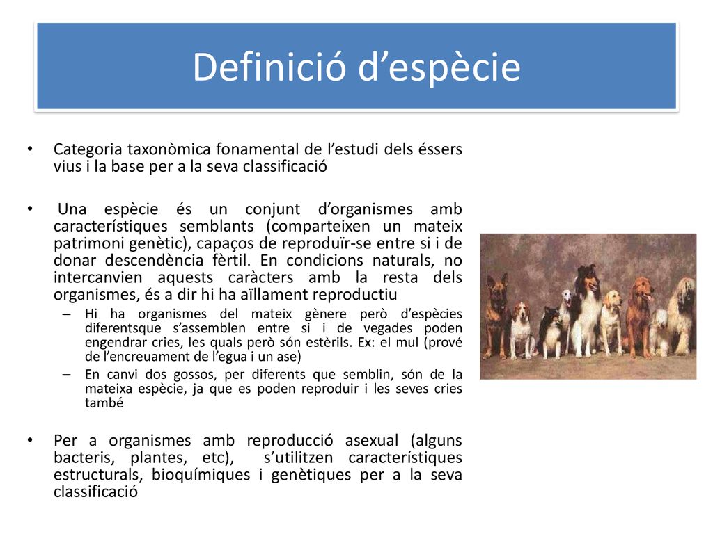 Definició d’espècie Categoria taxonòmica fonamental de l’estudi dels éssers vius i la base per a la seva classificació.