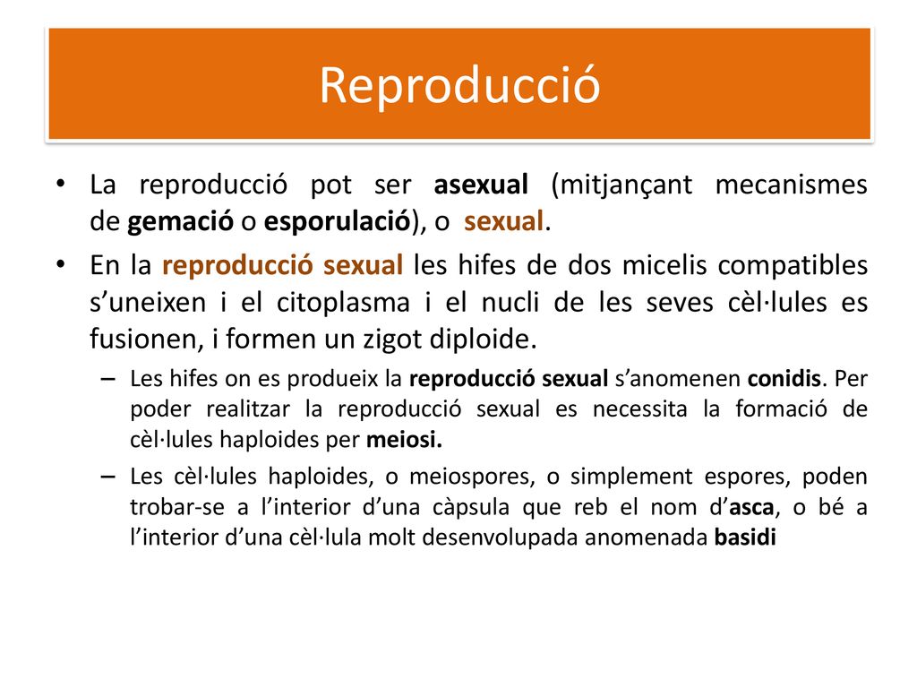 Reproducció La reproducció pot ser asexual (mitjançant mecanismes de gemació o esporulació), o sexual.