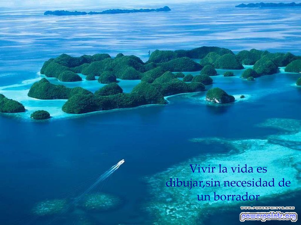 Vivir la vida es dibujar,sin necesidad de un borrador