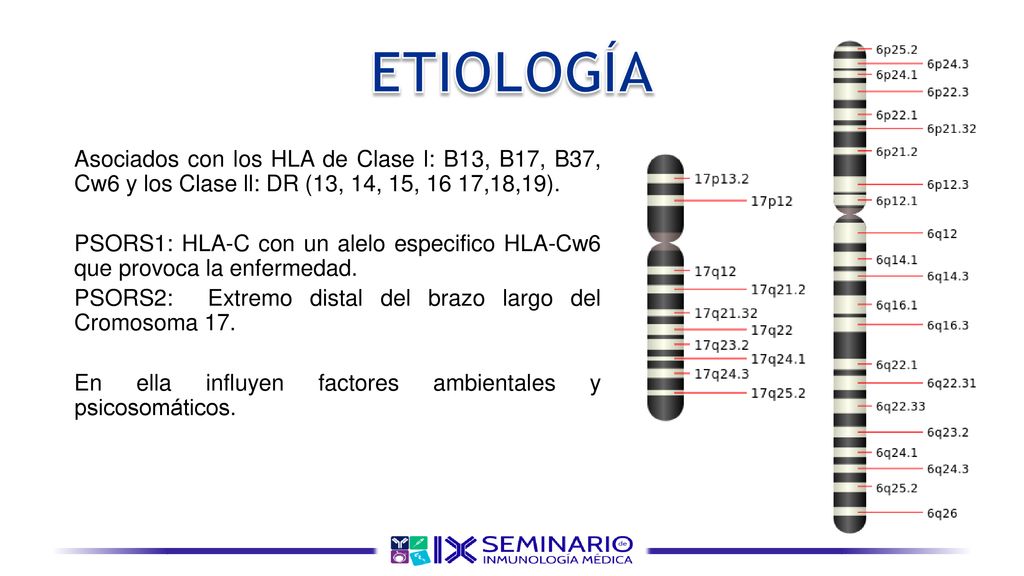 ETIOLOGÍA Asociados con los HLA de Clase l: B13, B17, B37, Cw6 y los Clase ll: DR (13, 14, 15, 16 17,18,19).