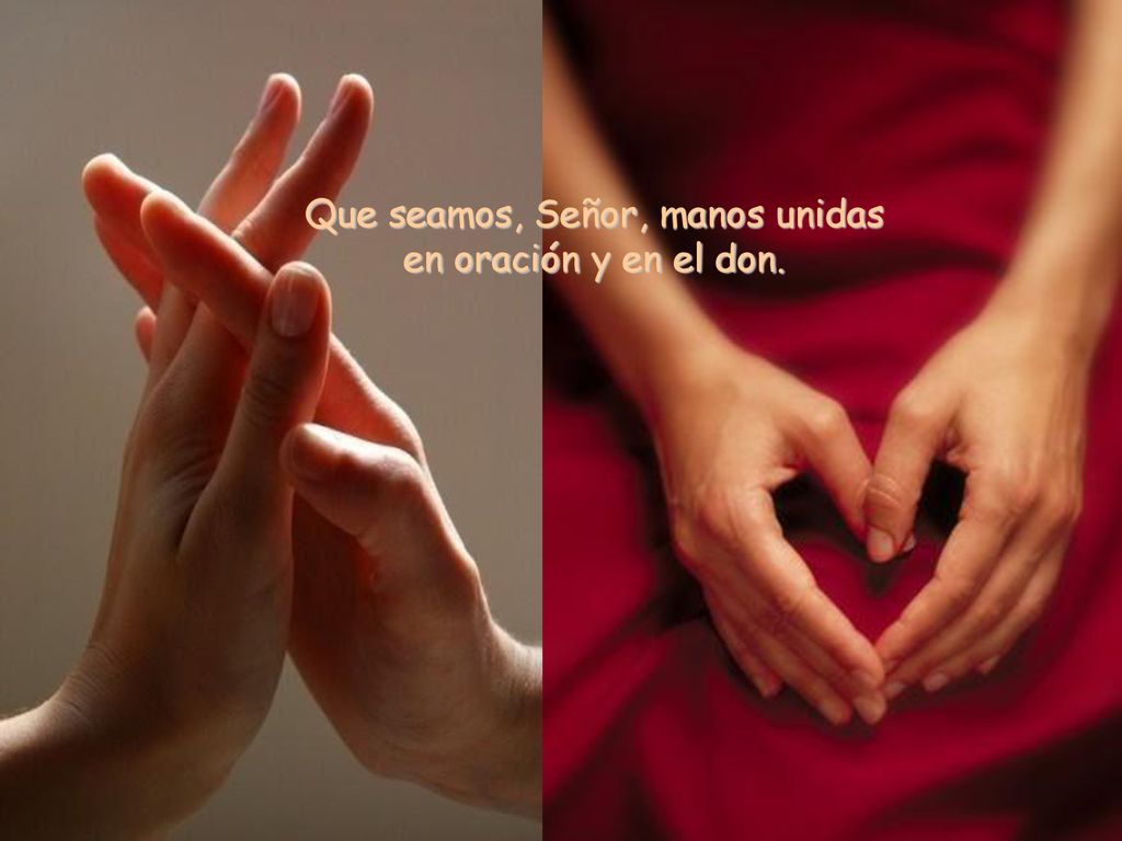 Que seamos, Señor, manos unidas en oración y en el don.