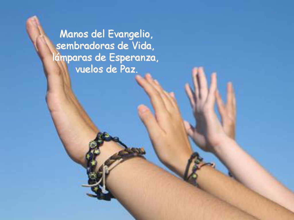 Manos del Evangelio, sembradoras de Vida, lámparas de Esperanza, vuelos de Paz.