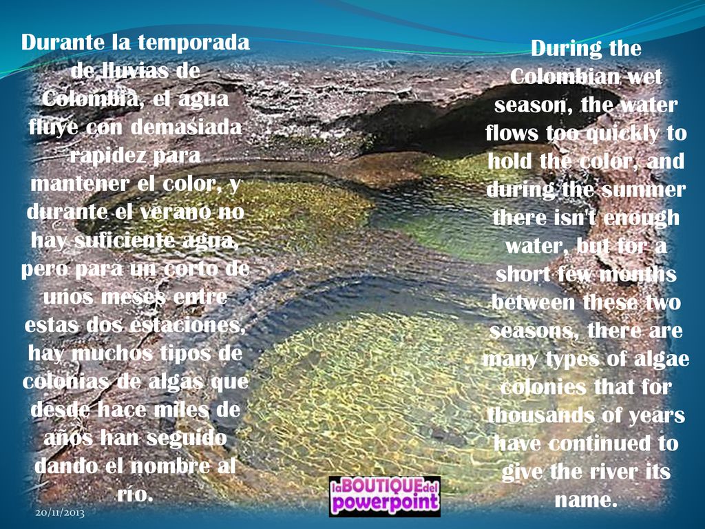 Durante la temporada de lluvias de Colombia, el agua fluye con demasiada rapidez para mantener el color, y durante el verano no hay suficiente agua, pero para un corto de unos meses entre estas dos estaciones, hay muchos tipos de colonias de algas que desde hace miles de años han seguido dando el nombre al río.