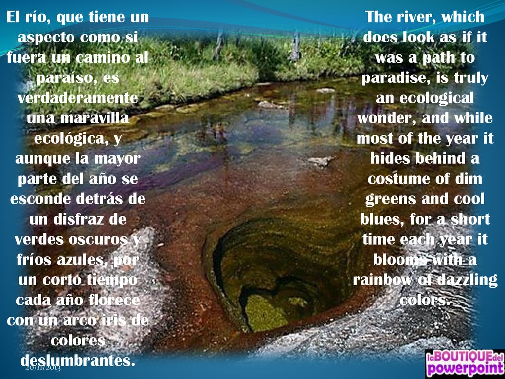 El río, que tiene un aspecto como si fuera un camino al paraíso, es verdaderamente una maravilla ecológica, y aunque la mayor parte del año se esconde detrás de un disfraz de verdes oscuros y fríos azules, por un corto tiempo cada año florece con un arco iris de colores deslumbrantes.