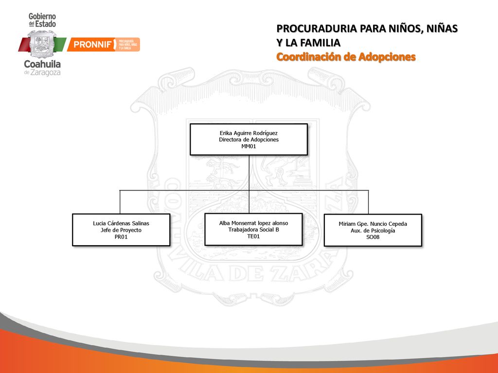 PROCURADURIA PARA NIÑOS, NIÑAS Y LA FAMILIA Coordinación de Adopciones