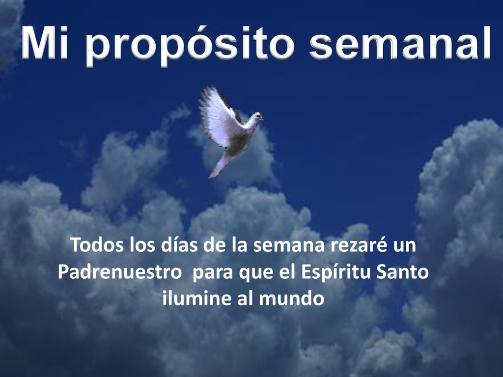 Mi propósito semanal El que acepta mis Mandamientos y los cumple, ése me ama. Al que me ama a Mí, lo amará mi Padre,