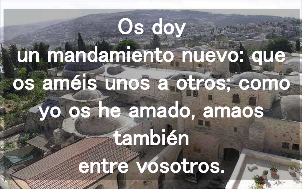 Os doy un mandamiento nuevo: que os améis unos a otros; como yo os he amado, amaos también entre vosotros.