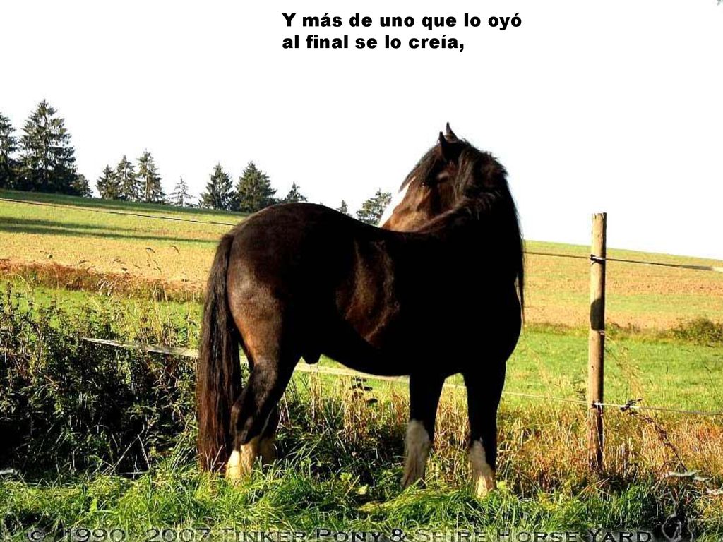 Y más de uno que lo oyó al final se lo creía,