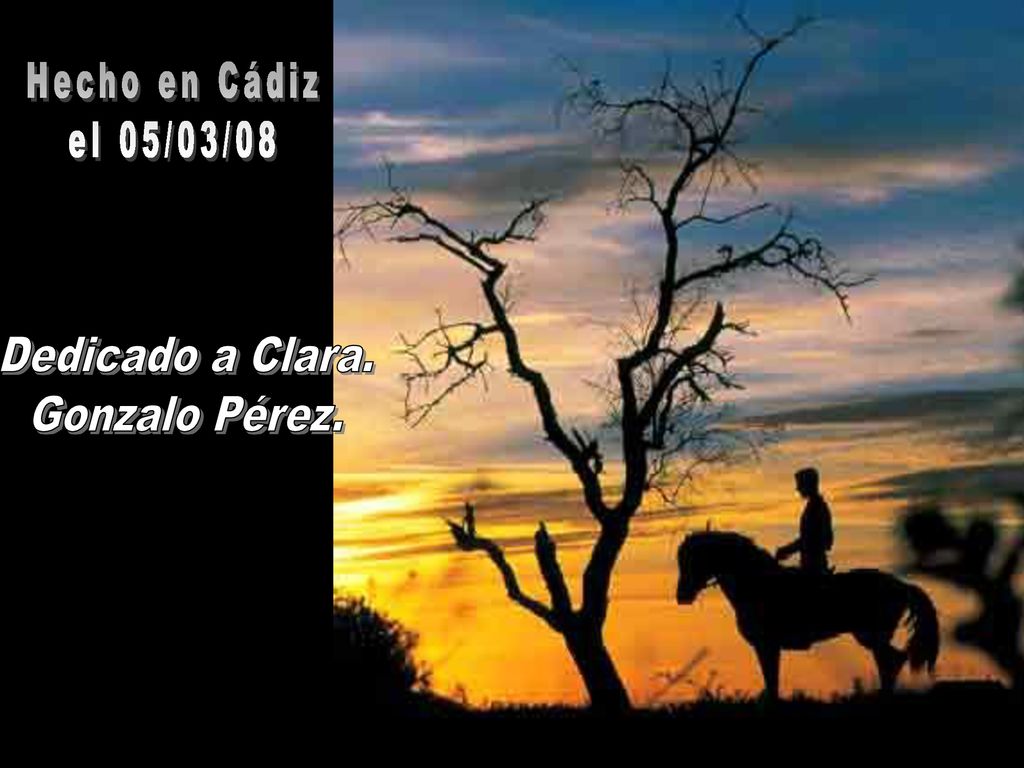 Hecho en Cádiz el 05/03/08 Dedicado a Clara. Gonzalo Pérez.
