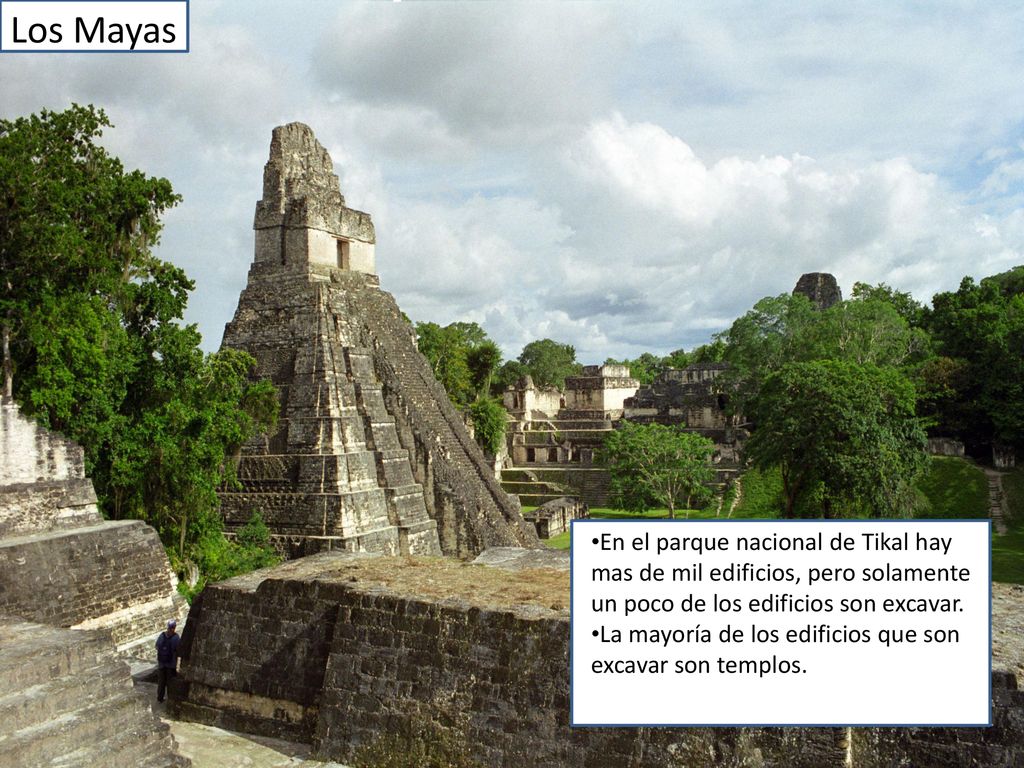 Los Mayas En el parque nacional de Tikal hay mas de mil edificios, pero solamente un poco de los edificios son excavar.