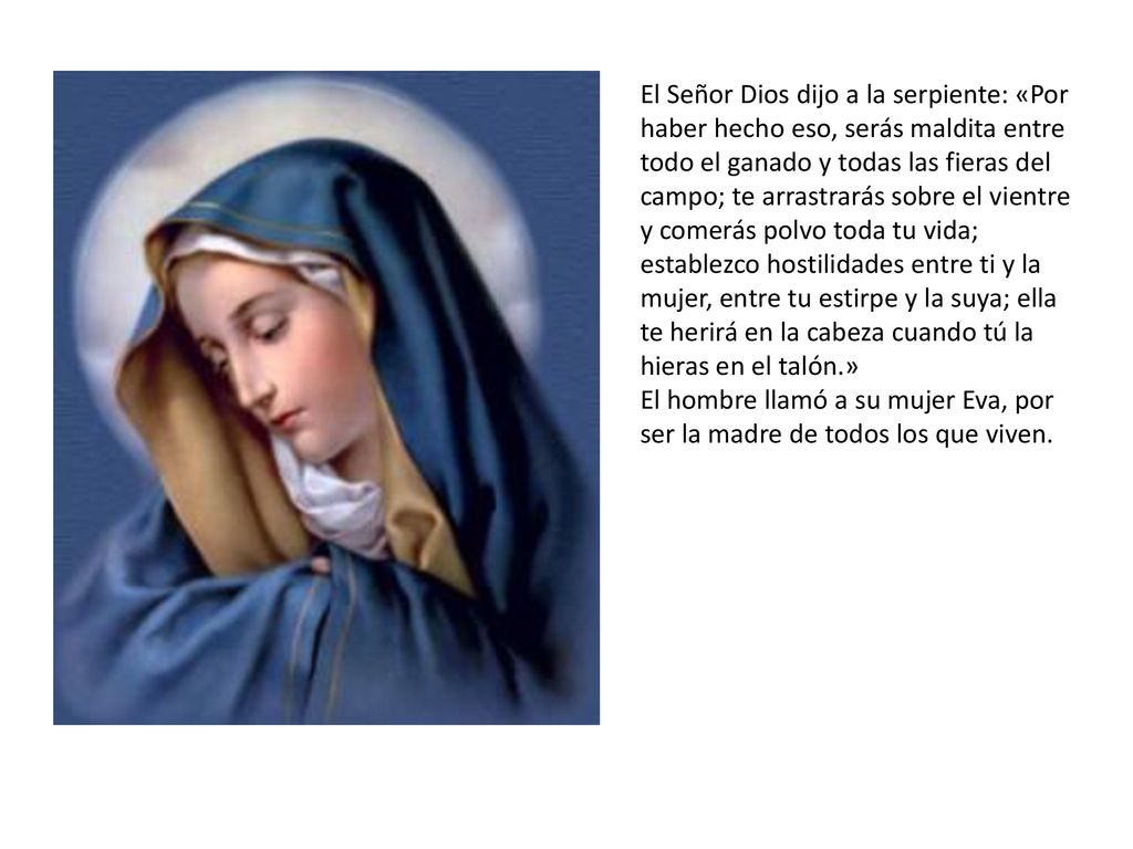 El Señor Dios dijo a la serpiente: «Por haber hecho eso, serás maldita entre todo el ganado y todas las fieras del campo; te arrastrarás sobre el vientre y comerás polvo toda tu vida; establezco hostilidades entre ti y la mujer, entre tu estirpe y la suya; ella te herirá en la cabeza cuando tú la hieras en el talón.» El hombre llamó a su mujer Eva, por ser la madre de todos los que viven.