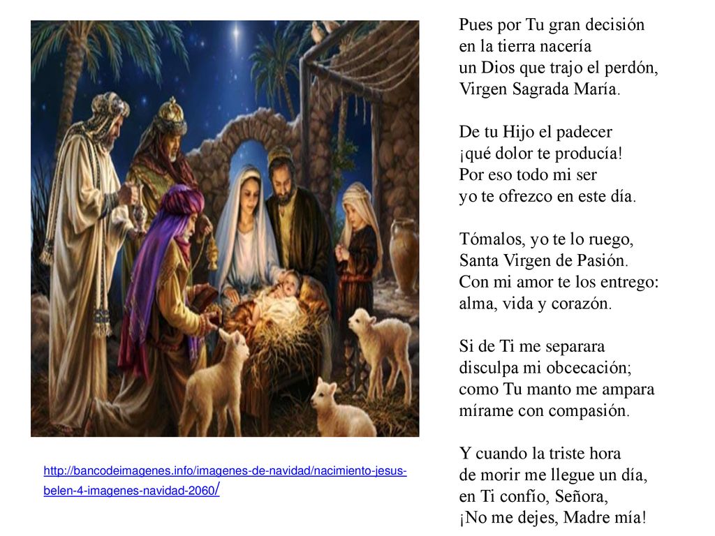 Pues por Tu gran decisión en la tierra nacería un Dios que trajo el perdón, Virgen Sagrada María. De tu Hijo el padecer ¡qué dolor te producía! Por eso todo mi ser yo te ofrezco en este día. Tómalos, yo te lo ruego, Santa Virgen de Pasión. Con mi amor te los entrego: alma, vida y corazón. Si de Ti me separara disculpa mi obcecación; como Tu manto me ampara mírame con compasión. Y cuando la triste hora de morir me llegue un día, en Ti confío, Señora, ¡No me dejes, Madre mía!