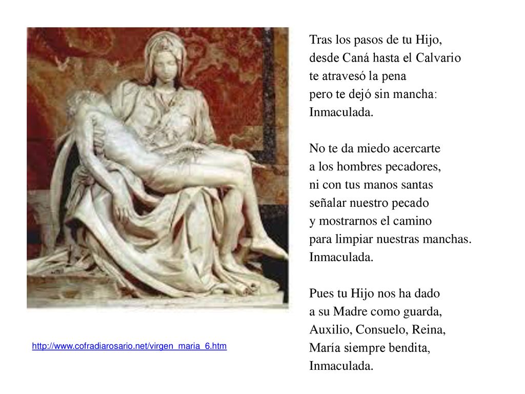 Tras los pasos de tu Hijo, desde Caná hasta el Calvario te atravesó la pena pero te dejó sin mancha: Inmaculada. No te da miedo acercarte a los hombres pecadores, ni con tus manos santas señalar nuestro pecado y mostrarnos el camino para limpiar nuestras manchas. Inmaculada. Pues tu Hijo nos ha dado a su Madre como guarda, Auxilio, Consuelo, Reina, María siempre bendita, Inmaculada.