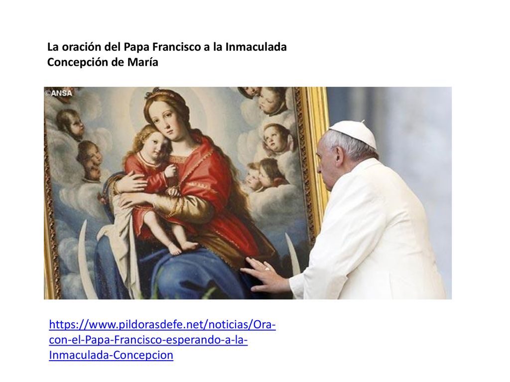La oración del Papa Francisco a la Inmaculada Concepción de María