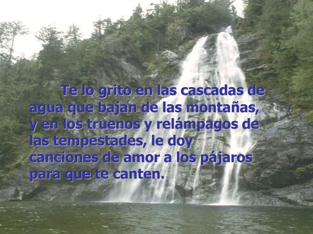 Te lo grito en las cascadas de agua que bajan de las montañas, y en los truenos y relámpagos de las tempestades, le doy canciones de amor a los pájaros para que te canten.