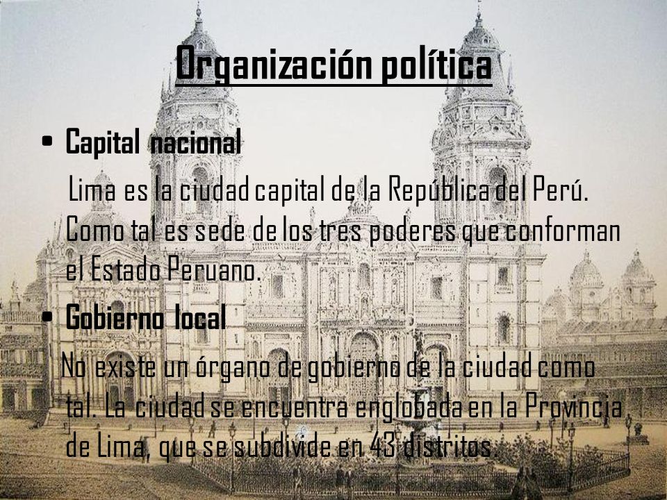 Organización política