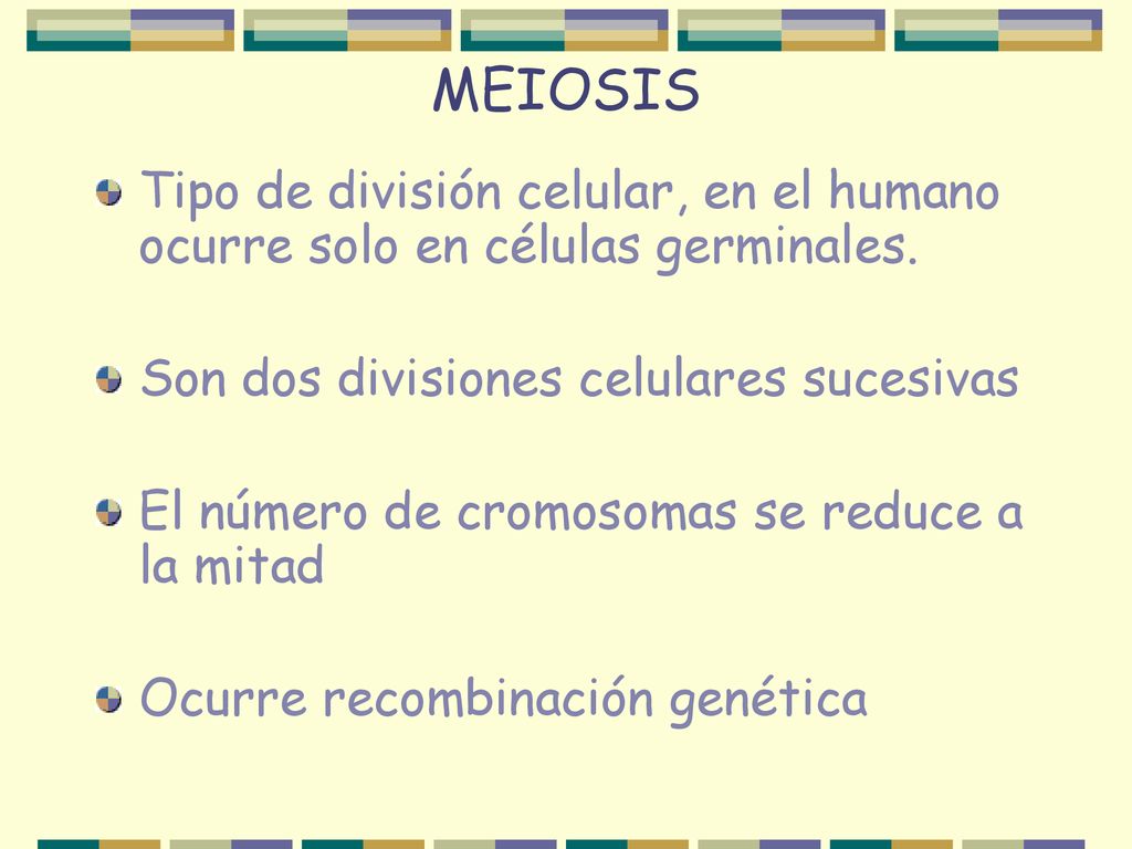 MEIOSIS Tipo de división celular, en el humano ocurre solo en células germinales. Son dos divisiones celulares sucesivas.