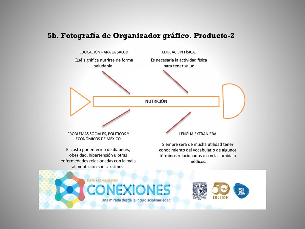 5b. Fotografía de Organizador gráfico. Producto-2