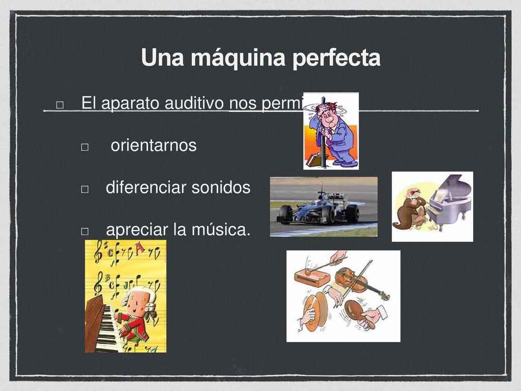 Una máquina perfecta El aparato auditivo nos permite: orientarnos