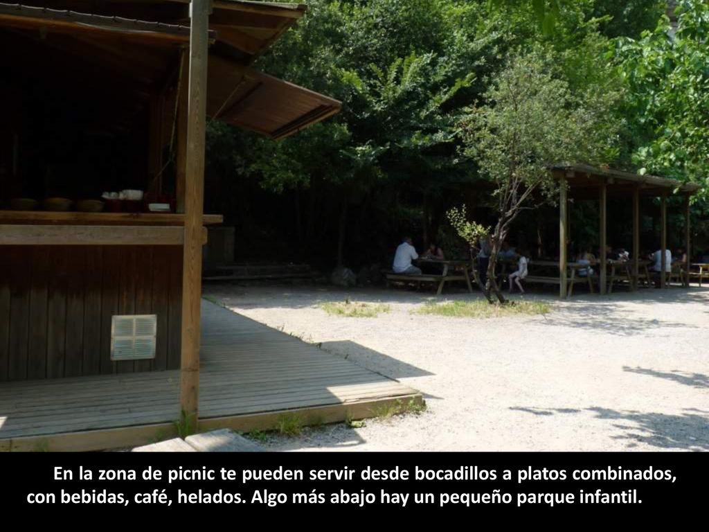 En la zona de picnic te pueden servir desde bocadillos a platos combinados, con bebidas, café, helados.