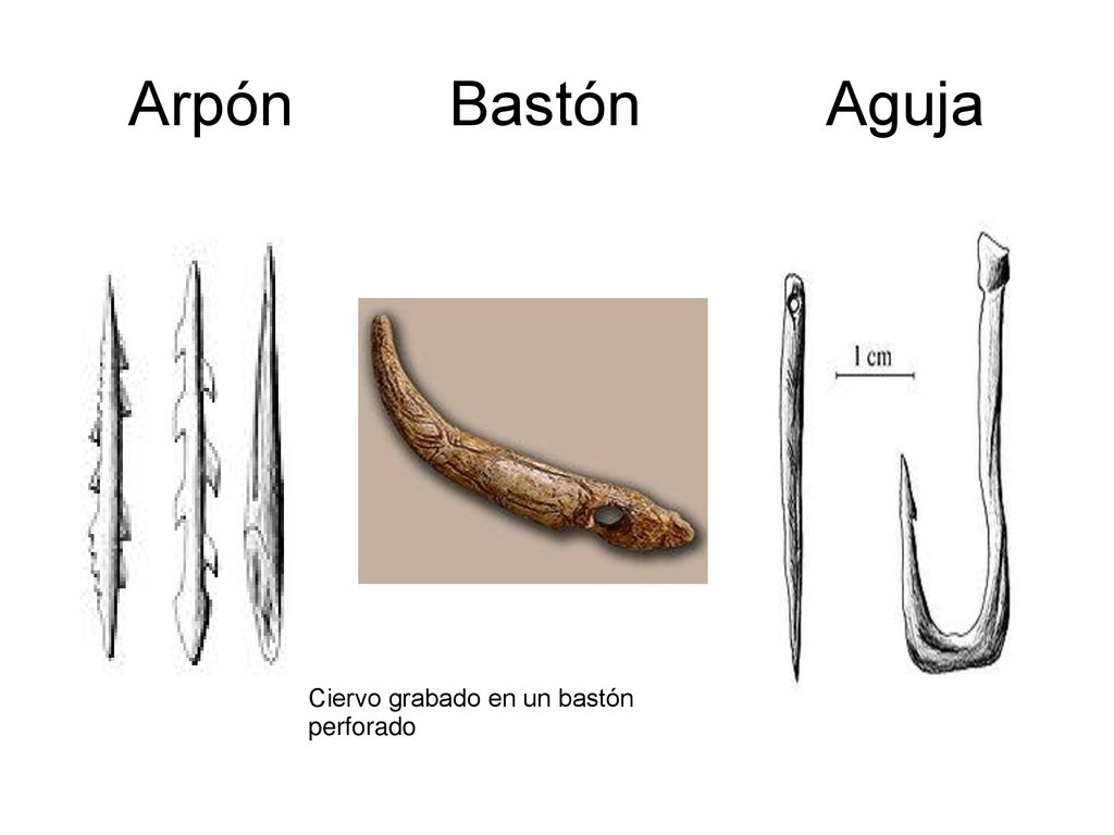 Arpón Bastón Aguja Ciervo grabado en un bastón perforado
