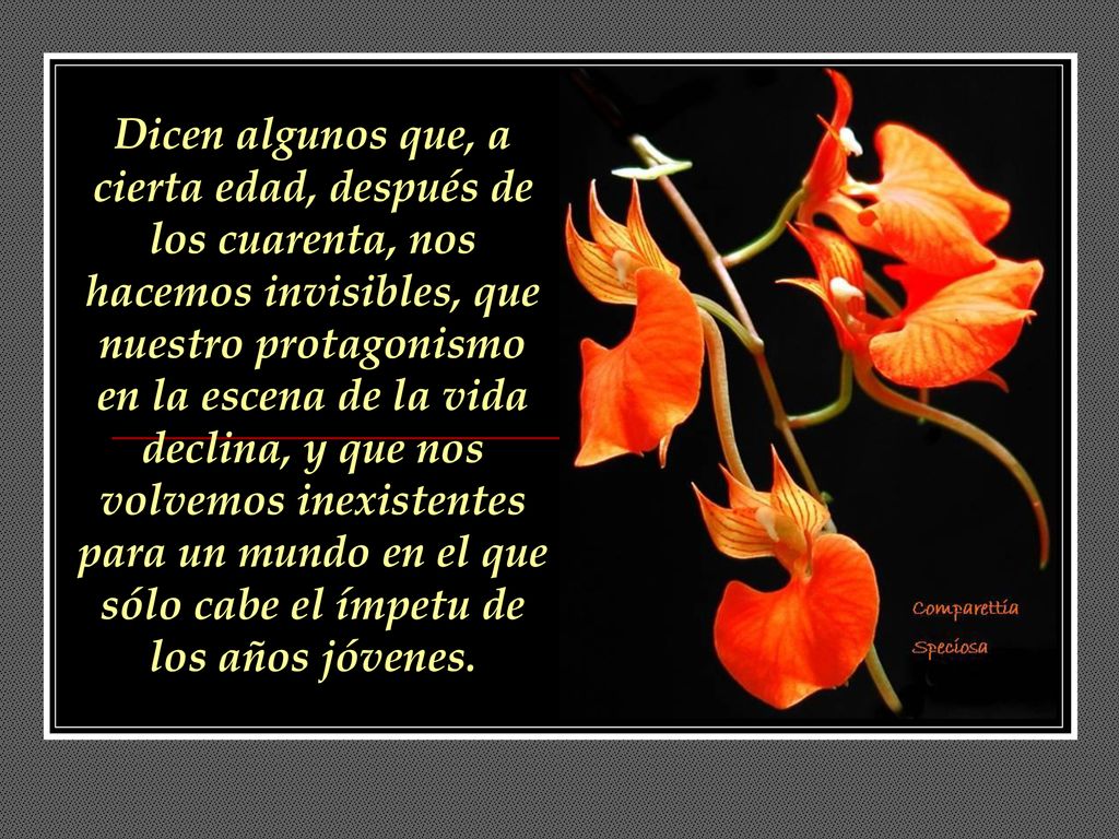 Dicen algunos que, a cierta edad, después de los cuarenta, nos hacemos invisibles, que nuestro protagonismo en la escena de la vida declina, y que nos volvemos inexistentes para un mundo en el que sólo cabe el ímpetu de los años jóvenes.