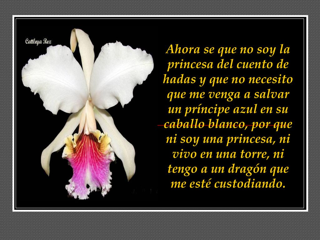 Ahora se que no soy la princesa del cuento de hadas y que no necesito que me venga a salvar un príncipe azul en su caballo blanco, por que ni soy una princesa, ni vivo en una torre, ni tengo a un dragón que me esté custodiando.