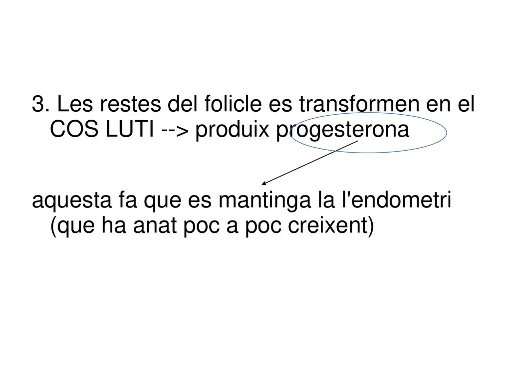 3. Les restes del folicle es transformen en el COS LUTI --> produix progesterona