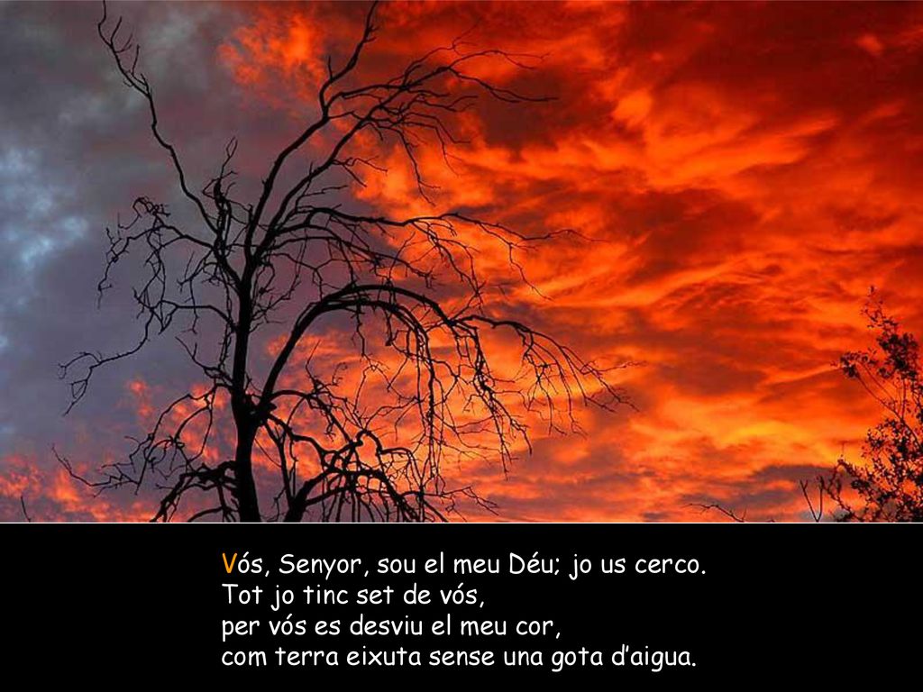 Vós, Senyor, sou el meu Déu; jo us cerco.