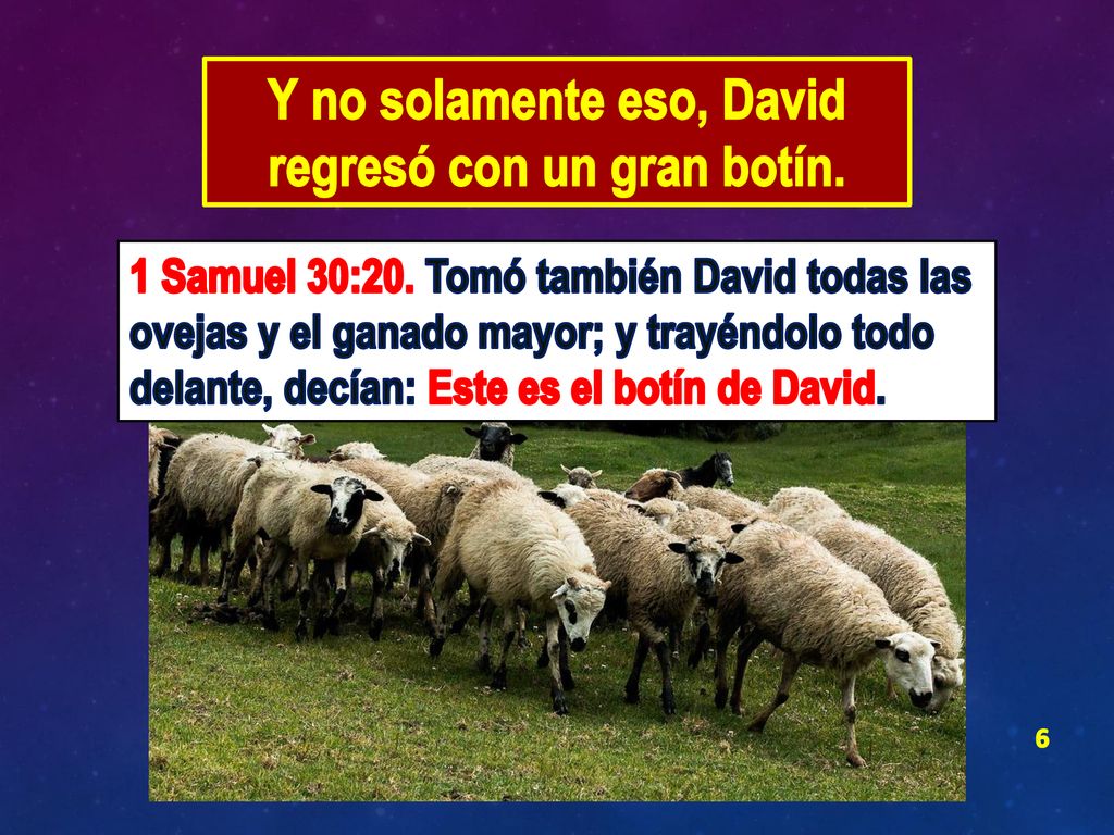 Y no solamente eso, David regresó con un gran botín.