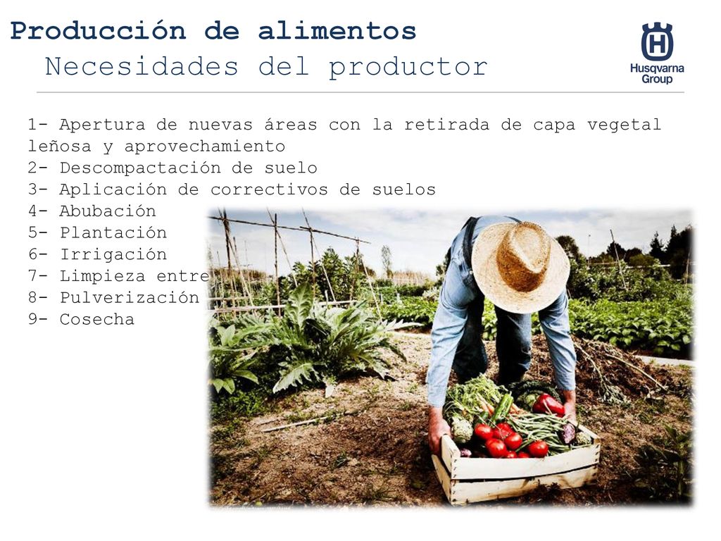 Producción de alimentos Necesidades del productor