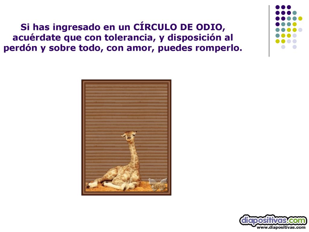 Si has ingresado en un CÍRCULO DE ODIO, acuérdate que con tolerancia, y disposición al perdón y sobre todo, con amor, puedes romperlo.