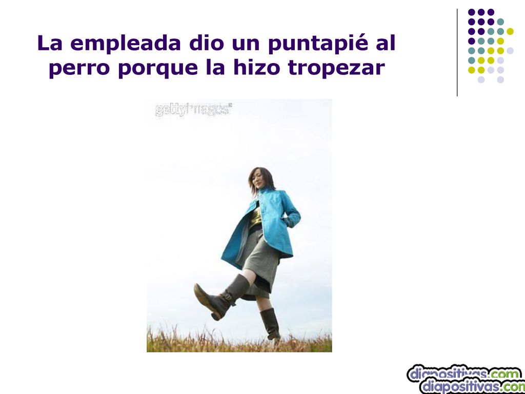 La empleada dio un puntapié al perro porque la hizo tropezar