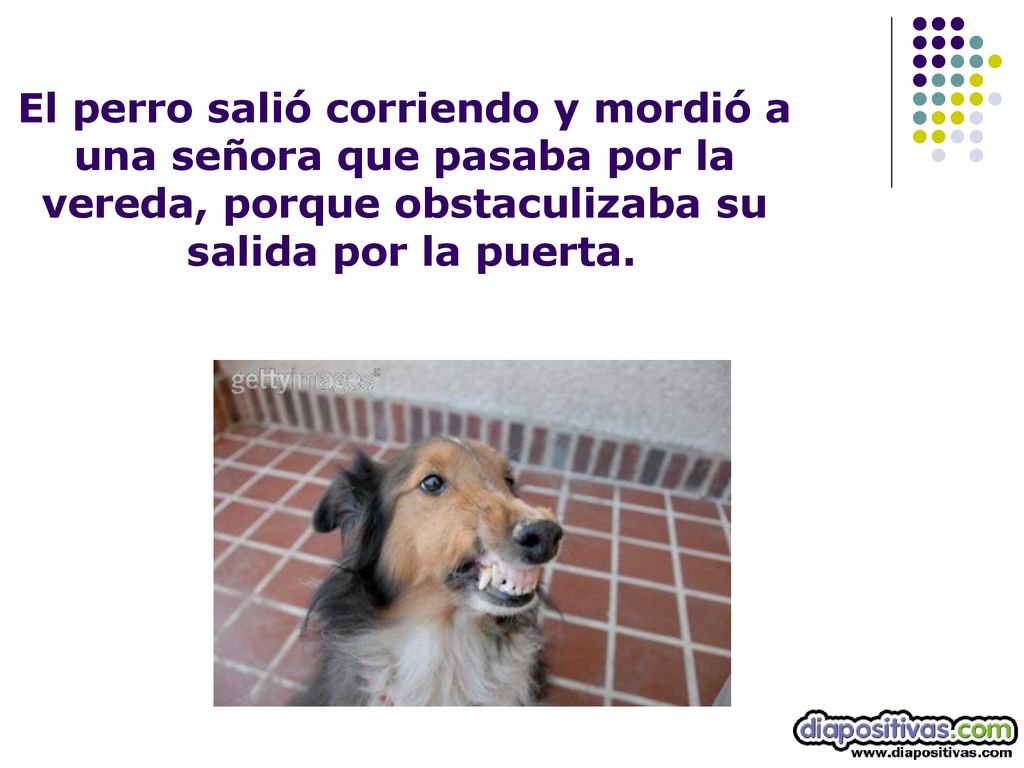 El perro salió corriendo y mordió a una señora que pasaba por la