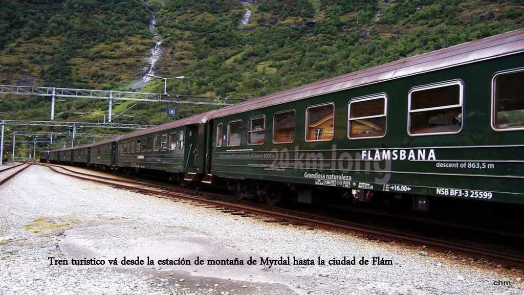Tren turistico vá desde la estacíón de montaña de Myrdal hasta la ciudad de Flám