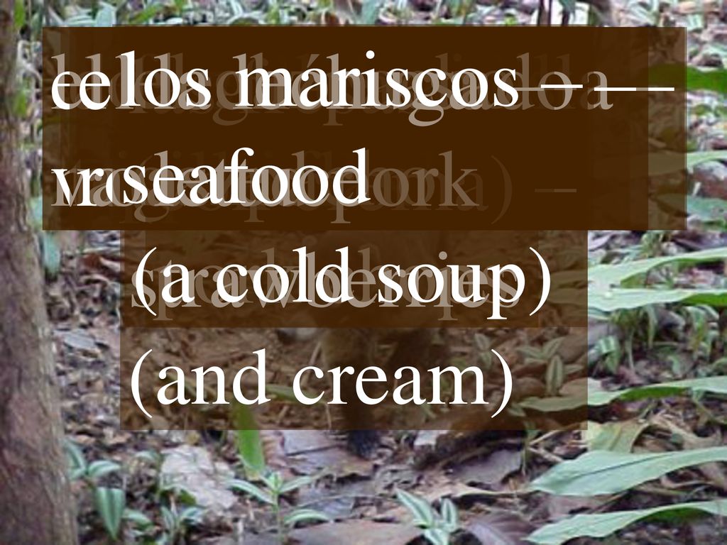 la ensalada mixta – mixed salad. el flan de vainilla – vanilla flan. dejar la propina – to leave the tip.