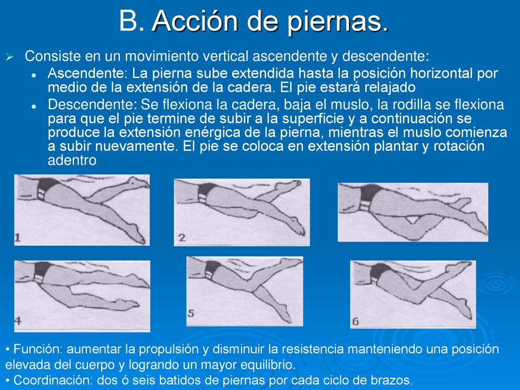 B. Acción de piernas. Consiste en un movimiento vertical ascendente y descendente: