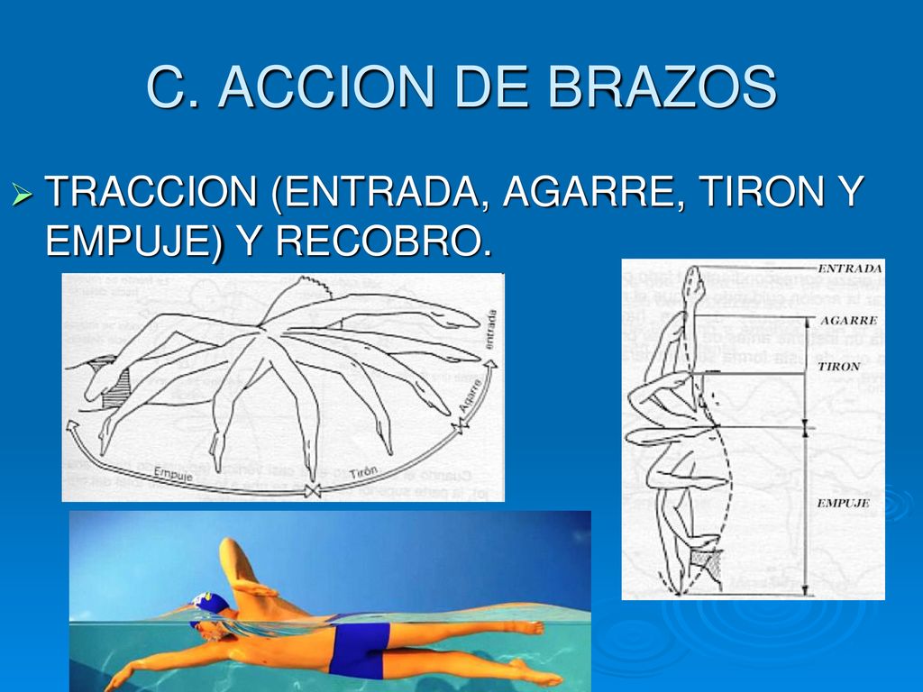 C. ACCION DE BRAZOS TRACCION (ENTRADA, AGARRE, TIRON Y EMPUJE) Y RECOBRO.