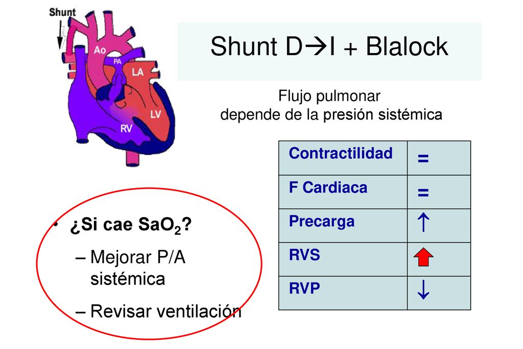 Shunt DI + Blalock Flujo pulmonar depende de la presión sistémica