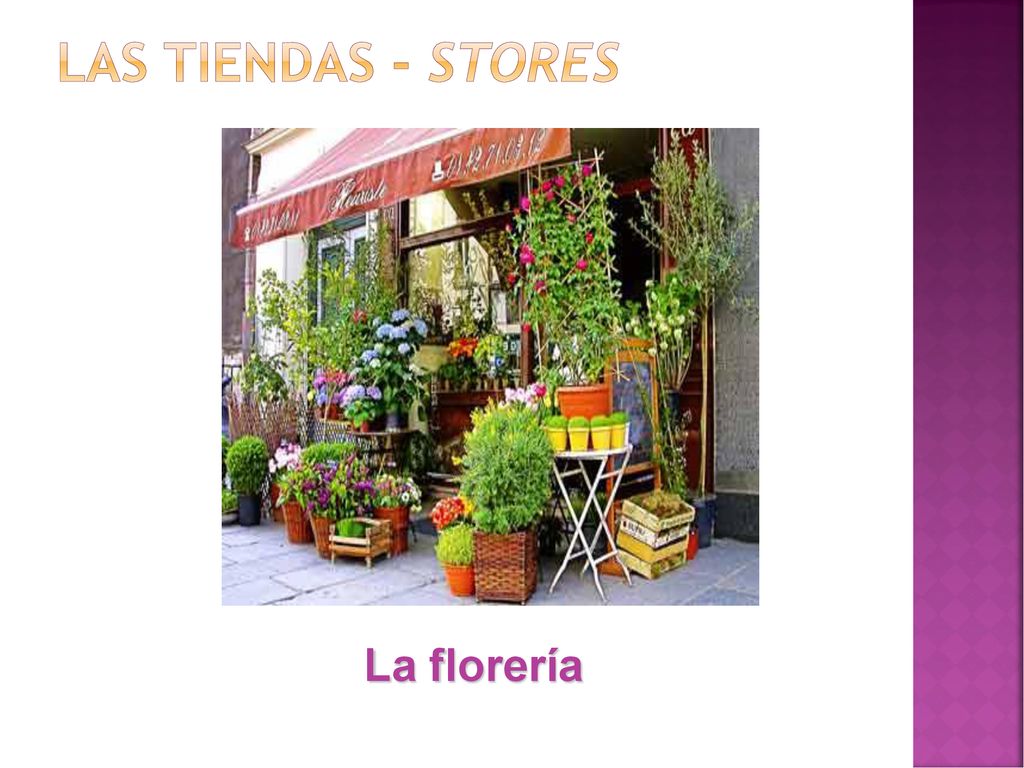Las tiendas - stores La florería