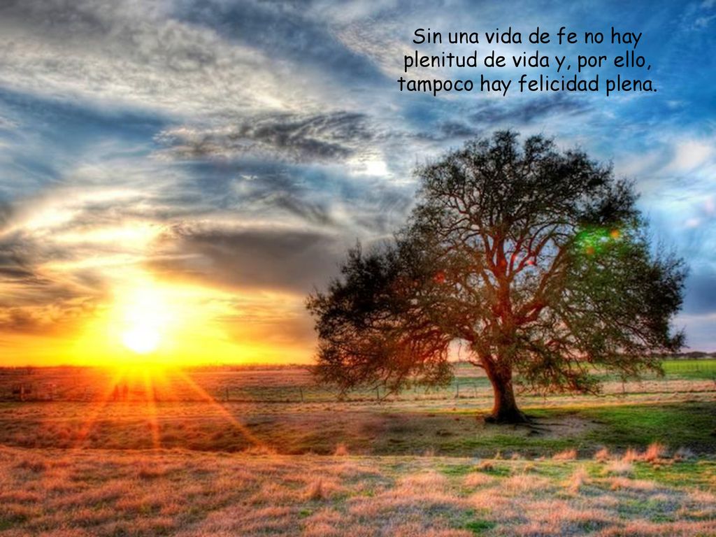 Sin una vida de fe no hay plenitud de vida y, por ello, tampoco hay felicidad plena.
