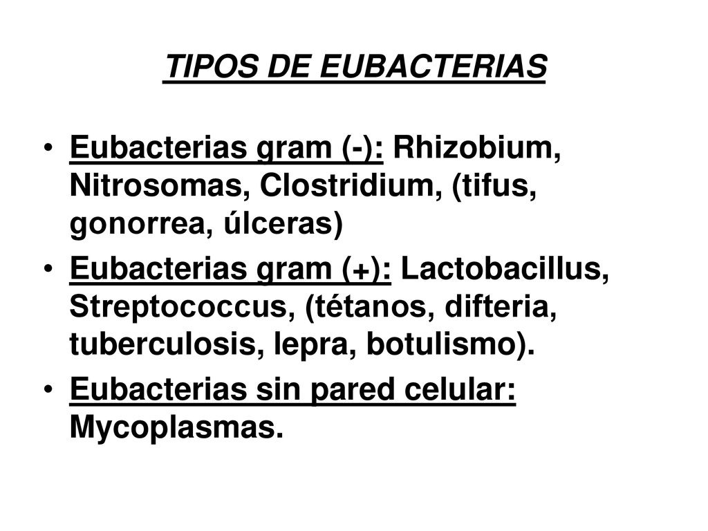 TIPOS DE EUBACTERIAS Eubacterias gram (-): Rhizobium, Nitrosomas, Clostridium, (tifus, gonorrea, úlceras)