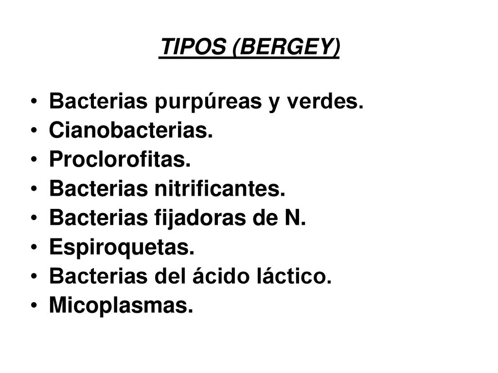 TIPOS (BERGEY) Bacterias purpúreas y verdes. Cianobacterias. Proclorofitas. Bacterias nitrificantes.
