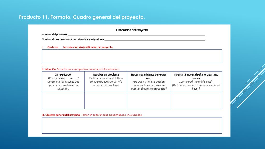 Producto 11. Formato. Cuadro general del proyecto.