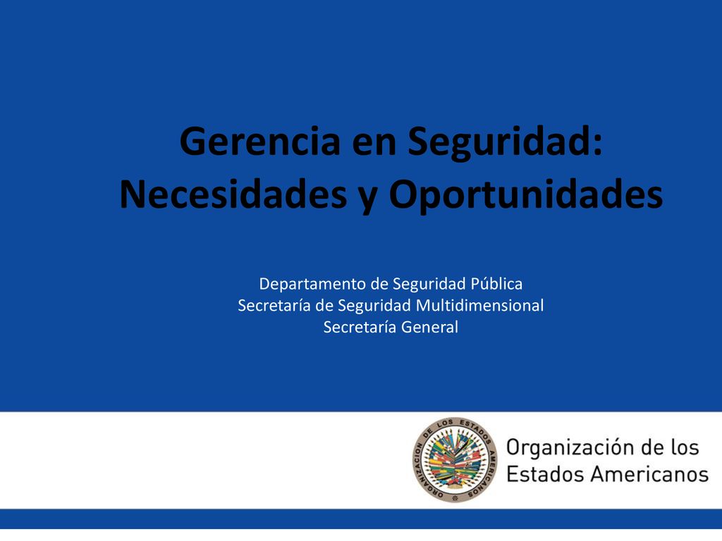 Gerencia en Seguridad: Necesidades y Oportunidades Departamento de Seguridad Pública Secretaría de Seguridad Multidimensional Secretaría General