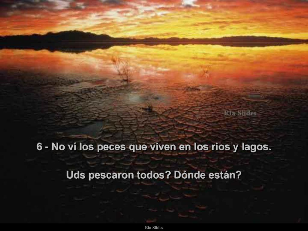 6 - No ví los peces que viven en los rios y lagos.