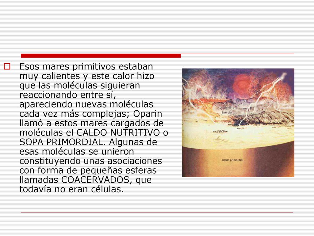 Esos mares primitivos estaban muy calientes y este calor hizo que las moléculas siguieran reaccionando entre sí, apareciendo nuevas moléculas cada vez más complejas; Oparin llamó a estos mares cargados de moléculas el CALDO NUTRITIVO o SOPA PRIMORDIAL.